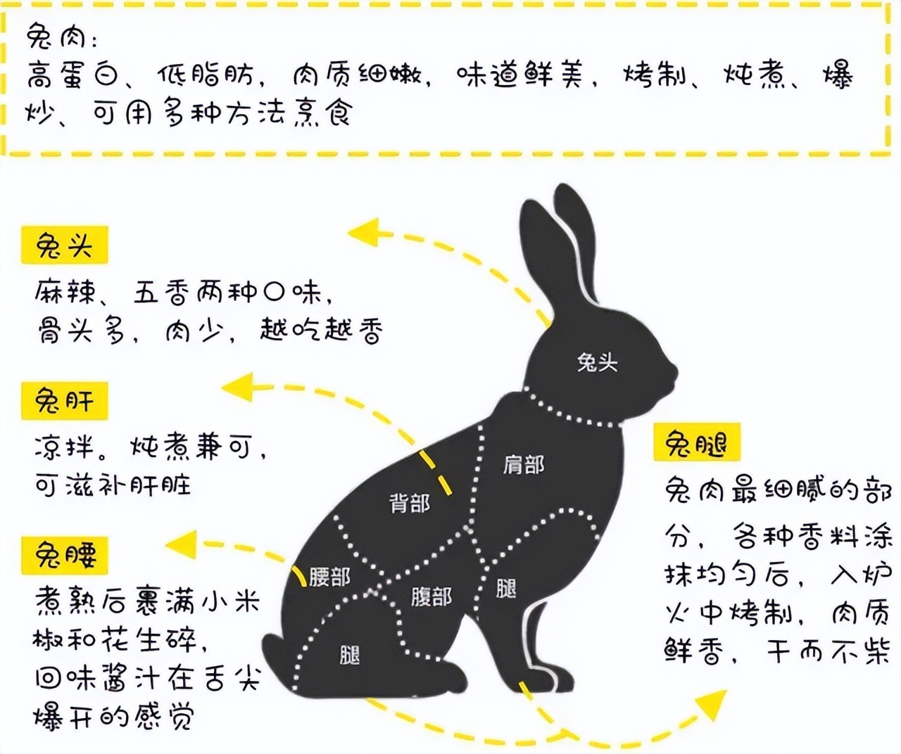 澳大利亚野兔怎么泛滥成灾,澳大利亚野兔泛滥