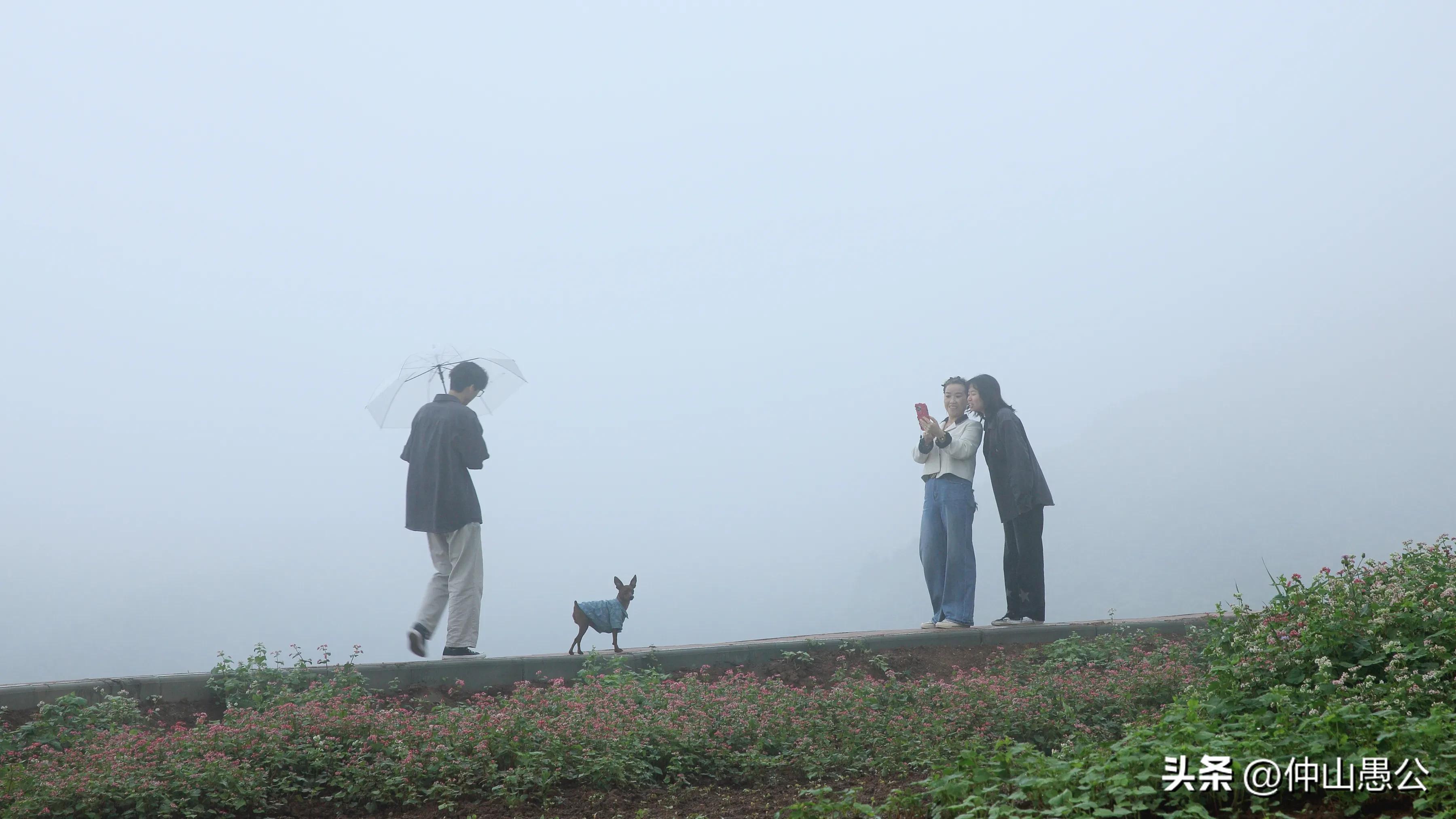 行摄川藏摄影图片,行摄诗和远方