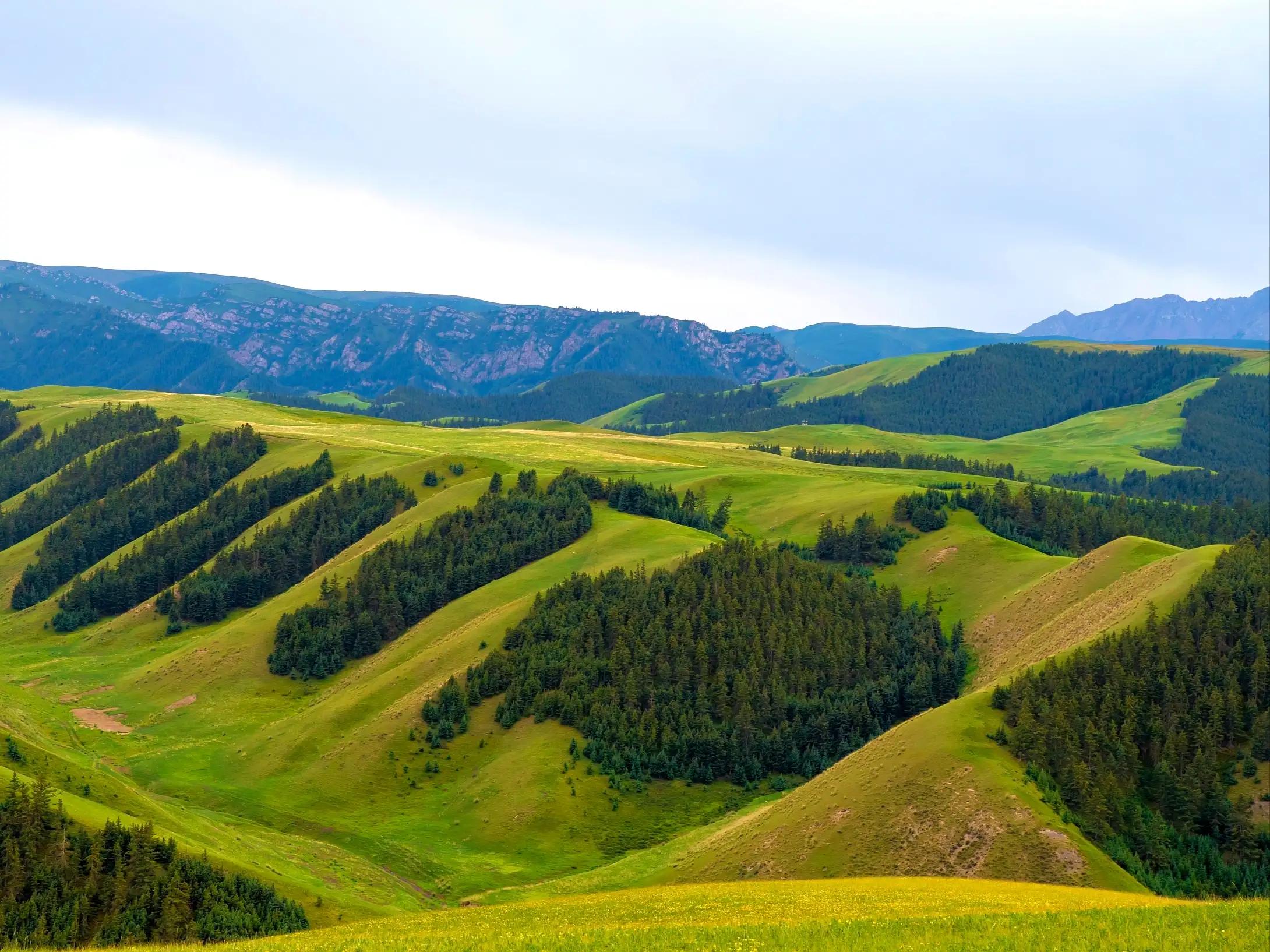 甘肃张掖旅游攻略详细,外地人对甘肃张掖的旅游评价