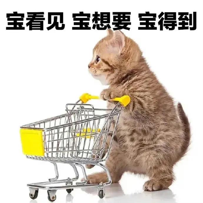 表情包美女拿东西,花钱买表情包的女生