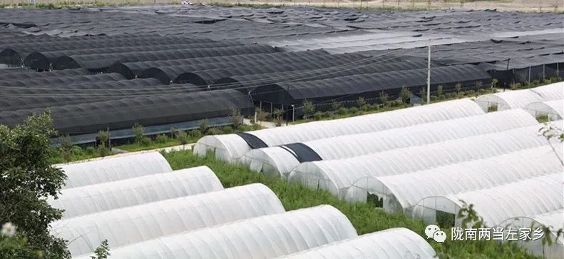 【妇女就业】在左家，有一种幸福叫“家门口”吃上“产业饭”