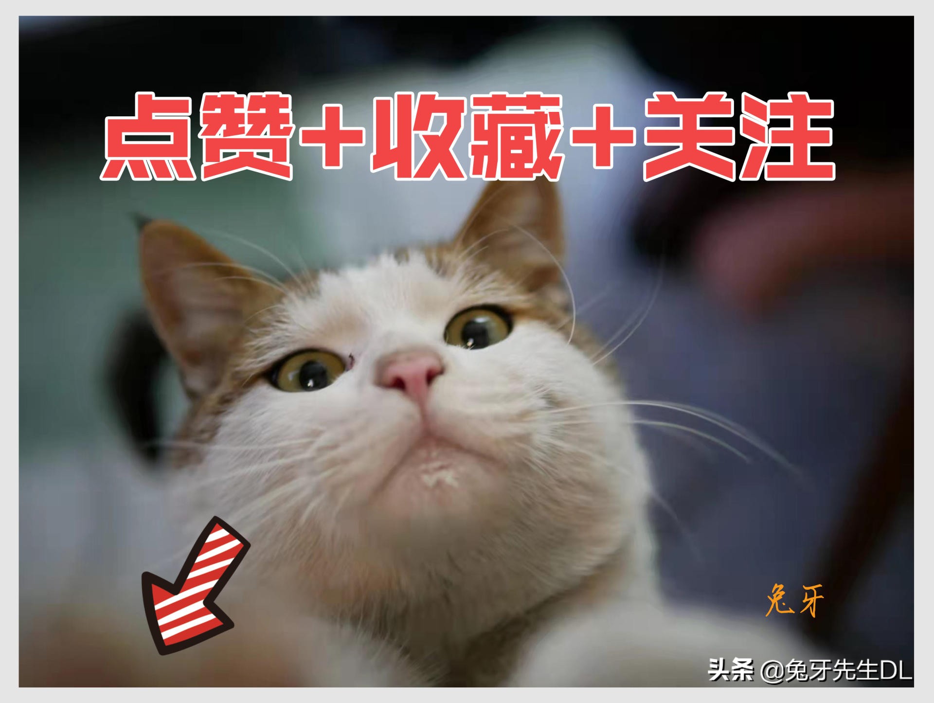 便携显示屏能干什么呢,一块屏幕可以干什么