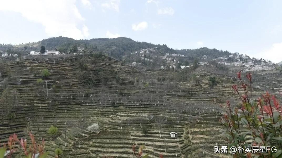 教育振兴与乡村振兴,乡村振兴产业振兴