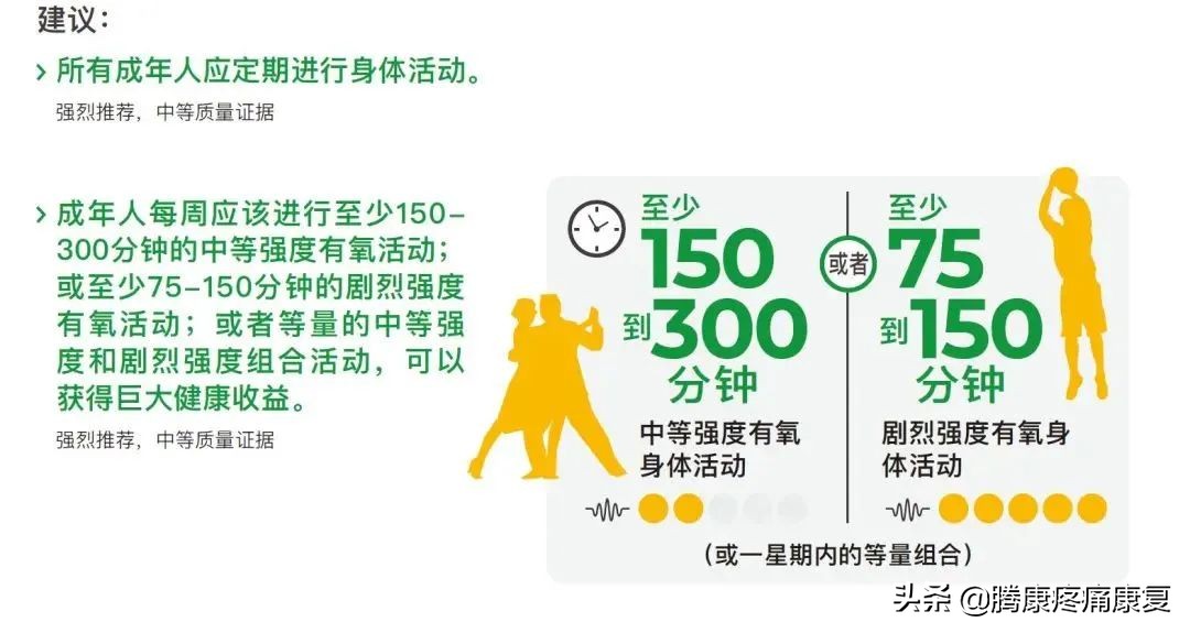 最新运动指南实锤,高效又轻松的运动指南