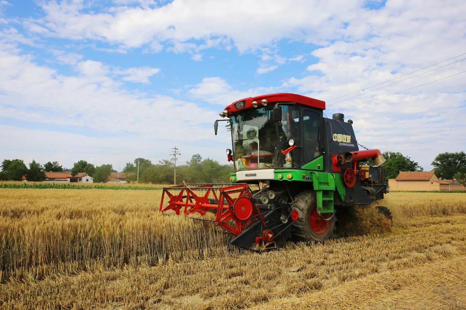 进口粮食价格上涨,粮食进口看涨粮价