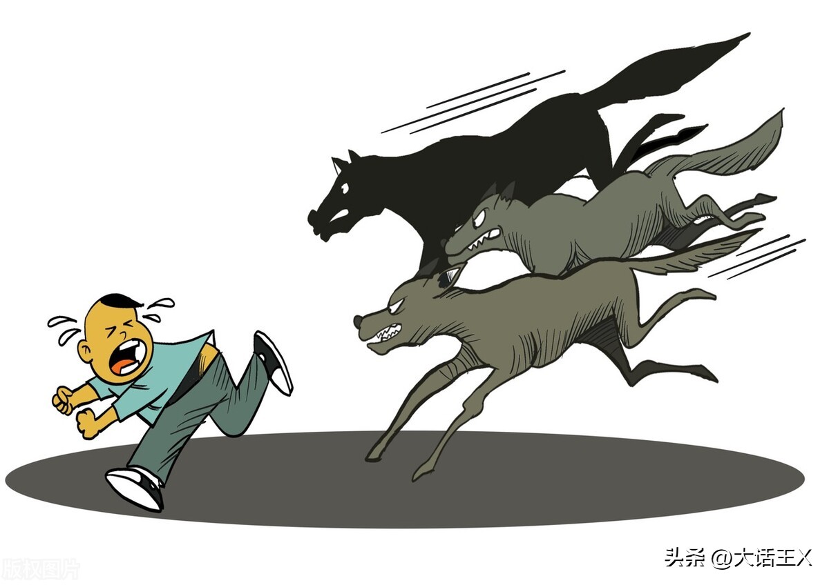 过年狗怎么处理,出门碰到恶狗怎么办