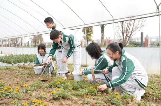以一日之力，应朝阳之功——记乐山东辰高中部的一天