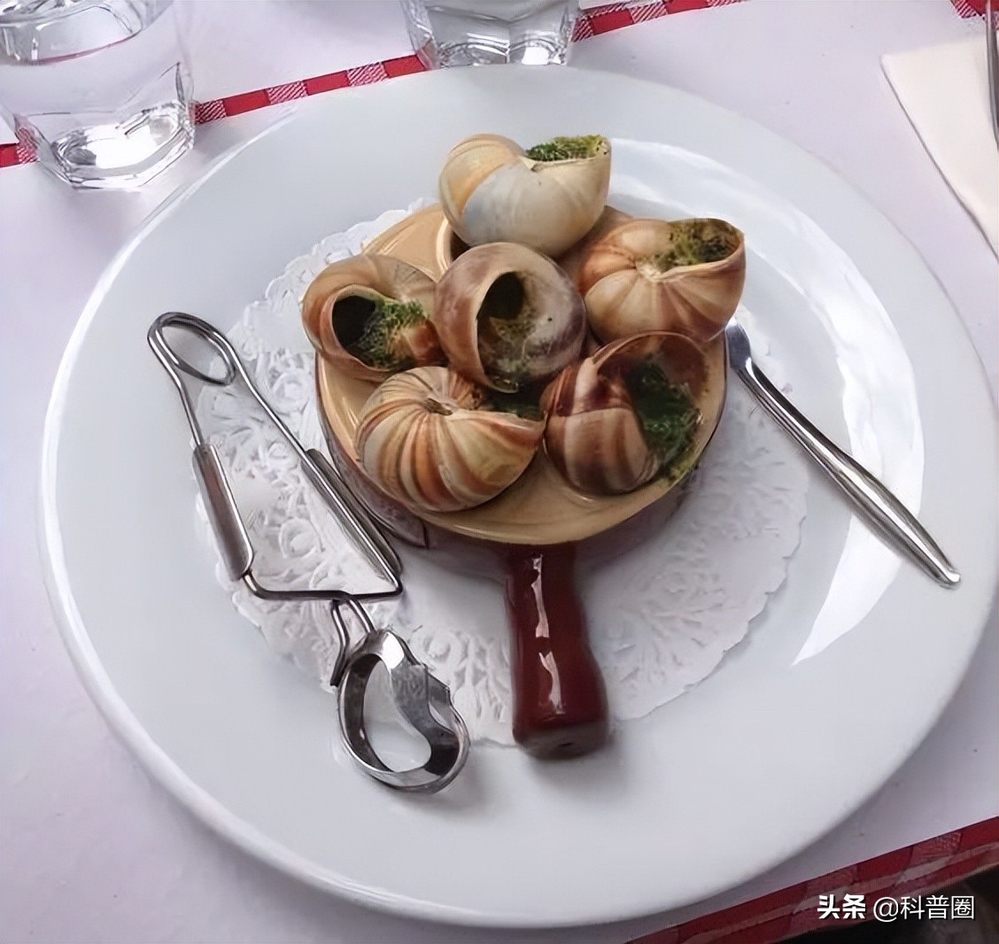 法国大蜗牛多少钱一斤,为什么只有法国的蜗牛可以吃