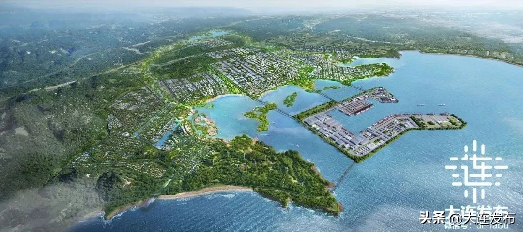 大连第76次新闻发布会回放,大连两先区建设水平大幅跃升