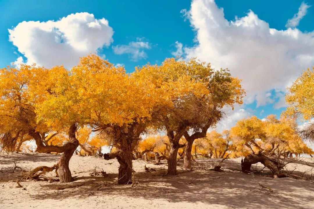 60岁之前必去的34省区最美天堂,最真实最美的旅游地方