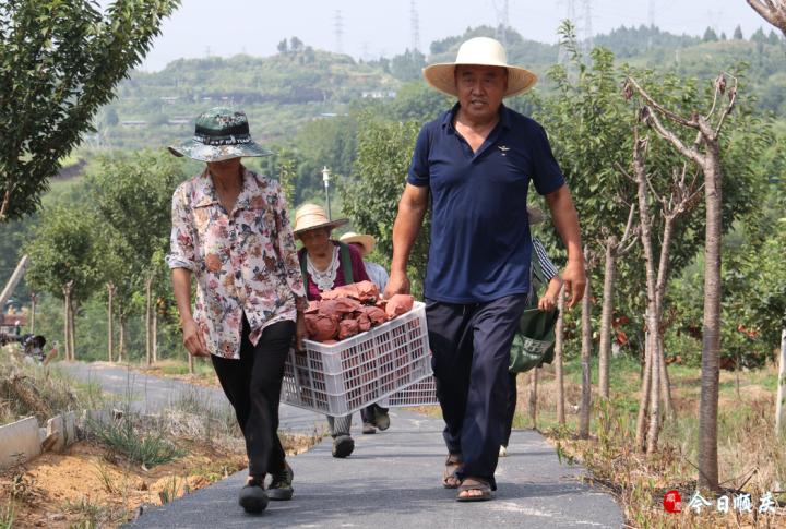 顺庆政协建议提案,凝心聚力用心用情办好民生实事