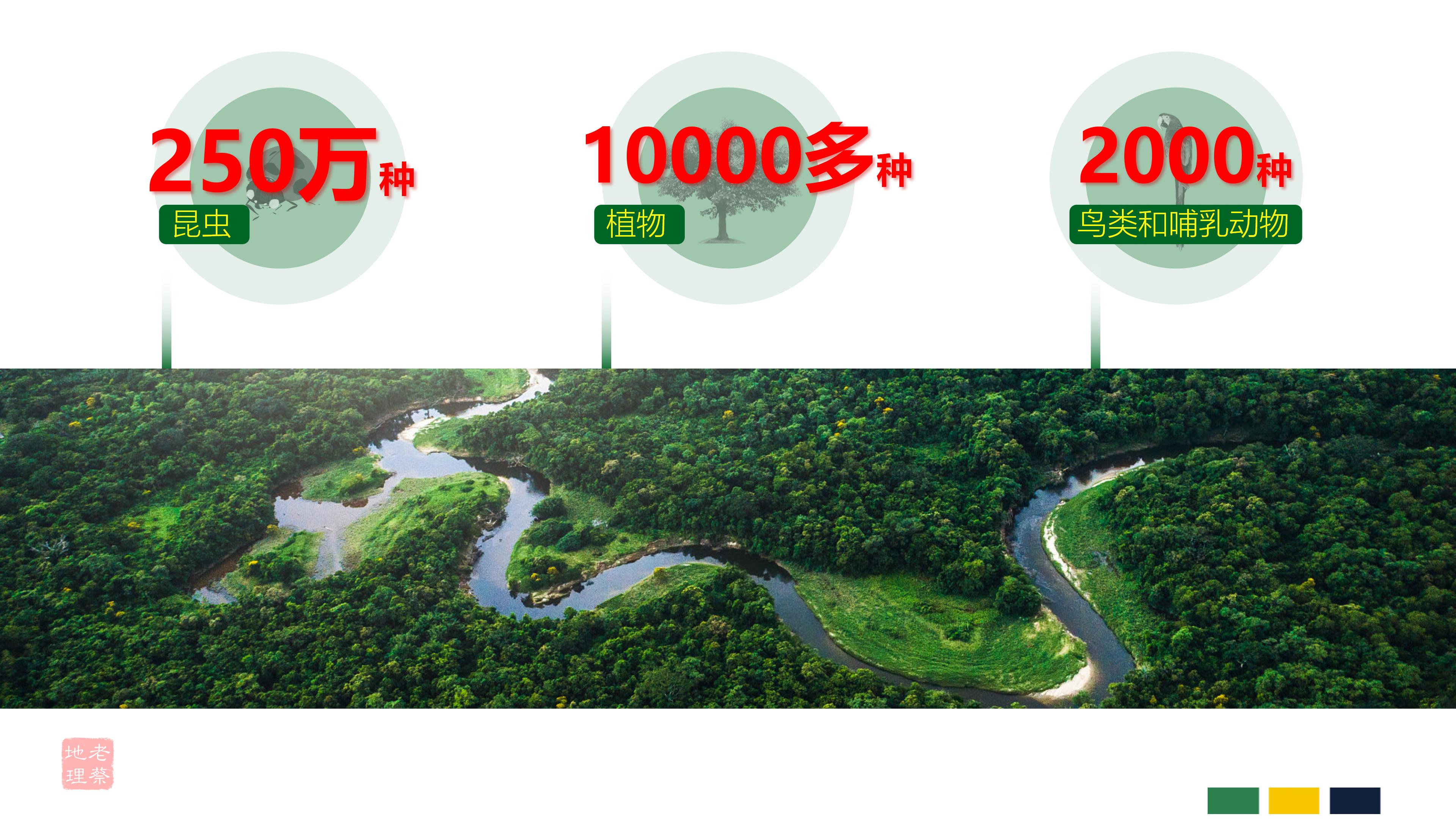 初中地理巴西知识点思维导图,七年级下册地理巴西教案人教版