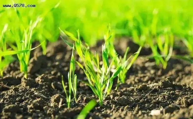 学会应对人生的焦虑失落与死亡,如何以正确的心态面对死亡