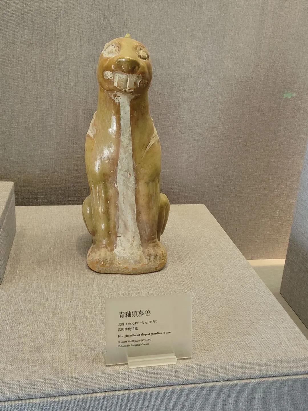 各种搞笑图片表情包,太真实了表情包搞笑图片