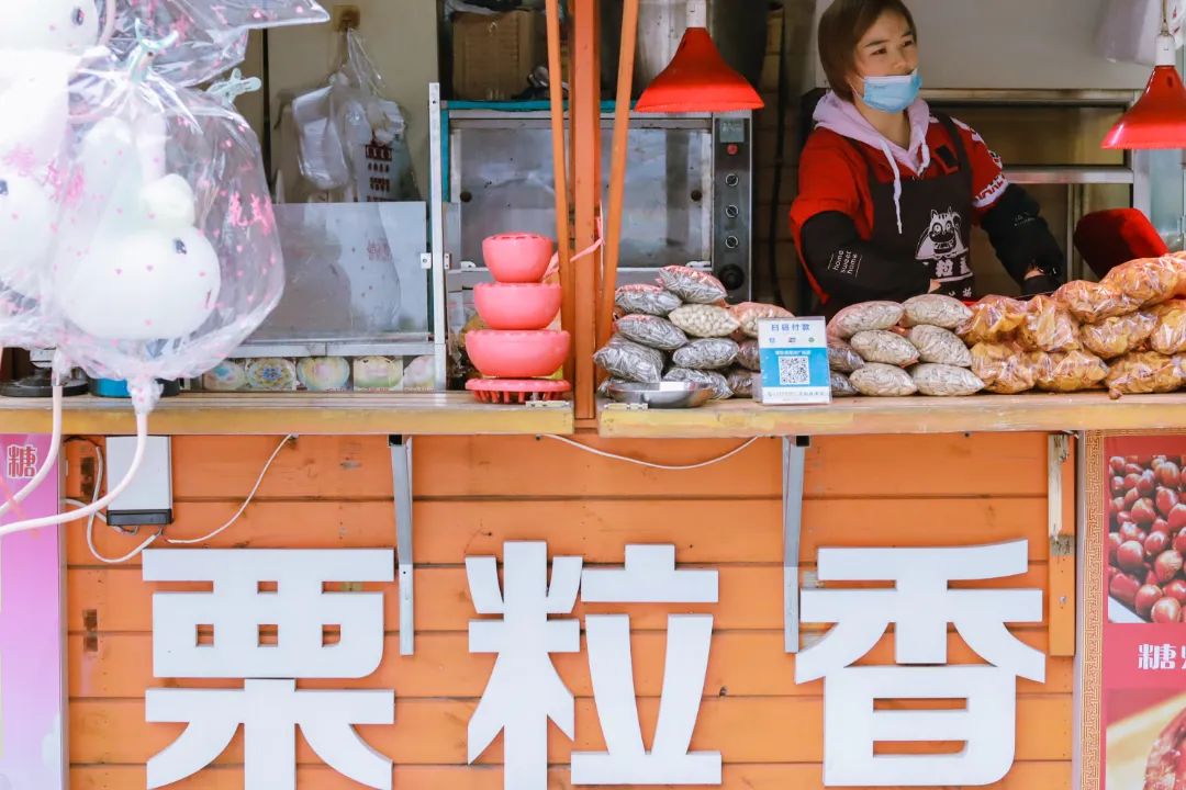 来了，2022太仓栗子不完整种草指南