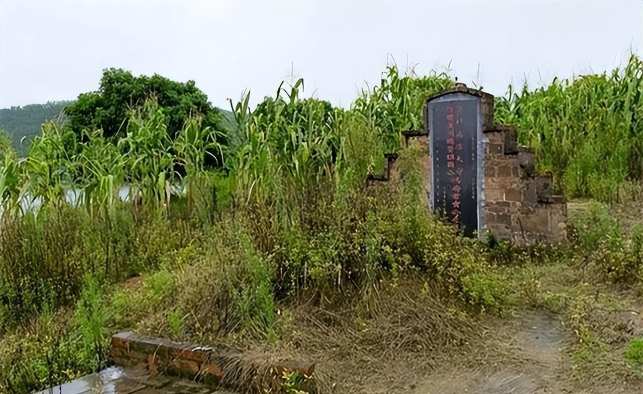 农村平坟新规,农村丧葬改革最新方法