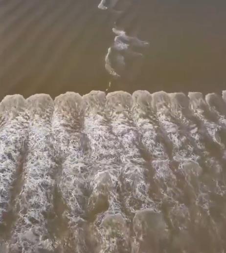 钱塘江现鱼鳞潮是怎么形成的,钱塘江鱼鳞潮似万马奔腾