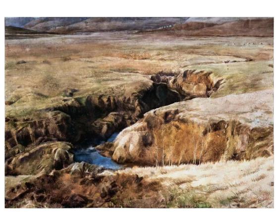 【艺坛百家】|水味彩韵•画意诗情——*党**天才水彩画赏析