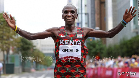 从小白到职业健身选手,从小白到标准体型