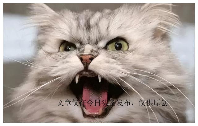 写给心理咨询师的一封感谢信,一位心理咨询师的体会与感悟