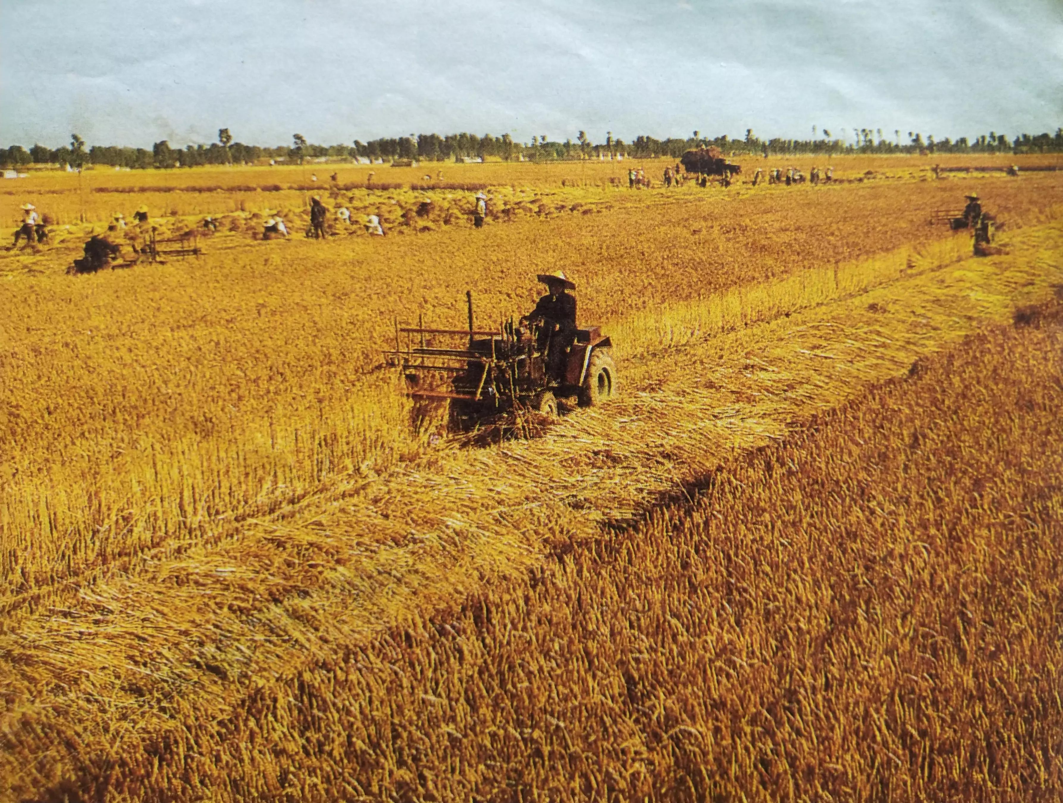 怀旧一下经典图片,怀旧经典图片欣赏