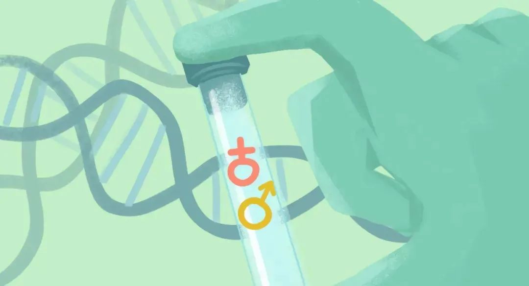 生男生女到底谁决定,生男生女到底谁决定的