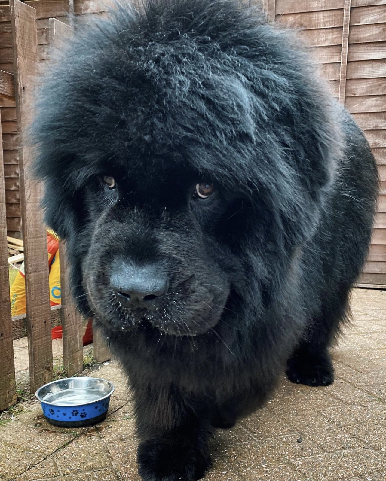 缇庡浗灏忓摜鐐硅瘎瑙嗛,缇庡浗灏忓摜鐐硅瘎