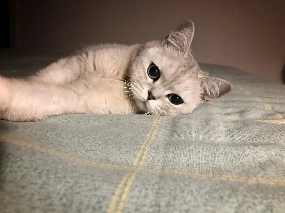 早起可以提高工作效率,工作老是发呆怎么解决