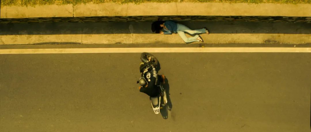 邹兆龙动作片,邹兆龙新动作电影