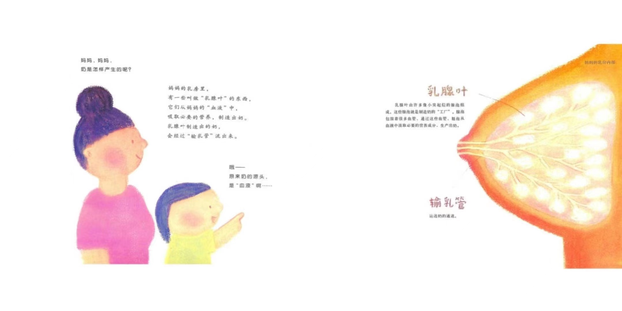 性教育应该怎么去教孩子,性教育课怎么给孩子科普