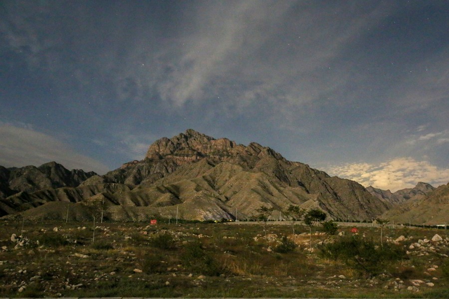 疯狂蝎子,最大蝎子到底有多可怕