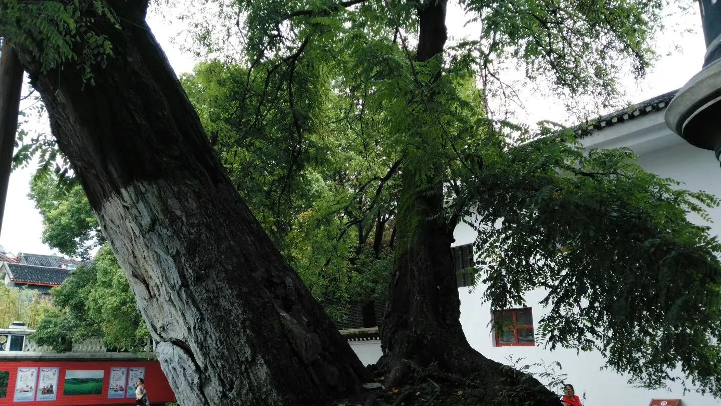 带孙女去贵阳玩,带着孙女自驾全国游