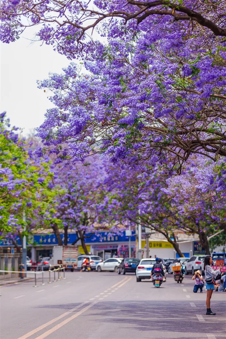 广东老司机推荐去哪里玩,五一假期最适合去哪儿玩儿