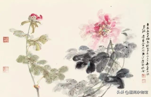 国花牡丹的历史起源,中国国花为啥是牡丹