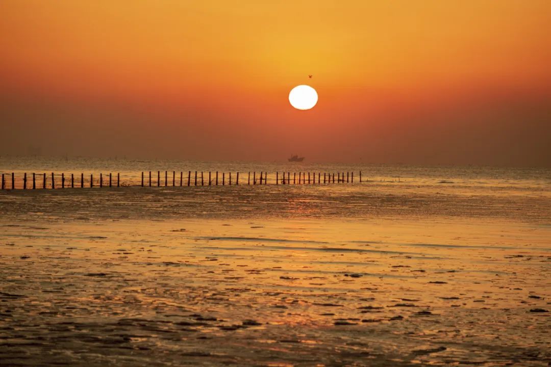 有山有海有人文，将家安在景区里丨日照东方*阳城太**