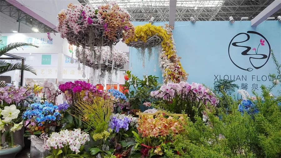 镇店之宝被抢购，“亚洲最美花展”上盆栽“吸睛”又“吸金”