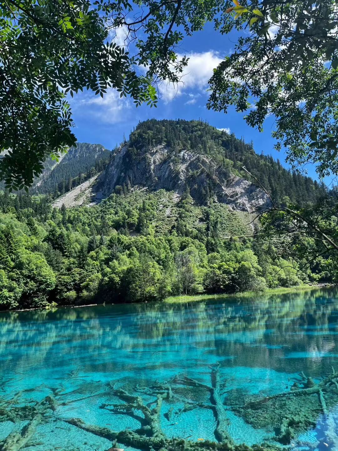 九寨沟童话仙境四日游,九寨沟童话路