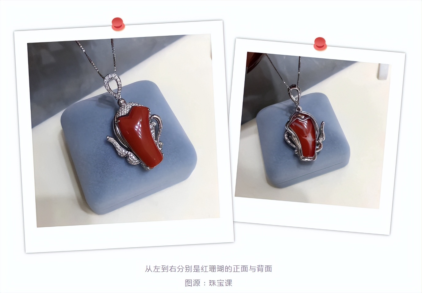 红珊瑚是深海中的千年灵物,深海精灵红珊瑚的万般风情