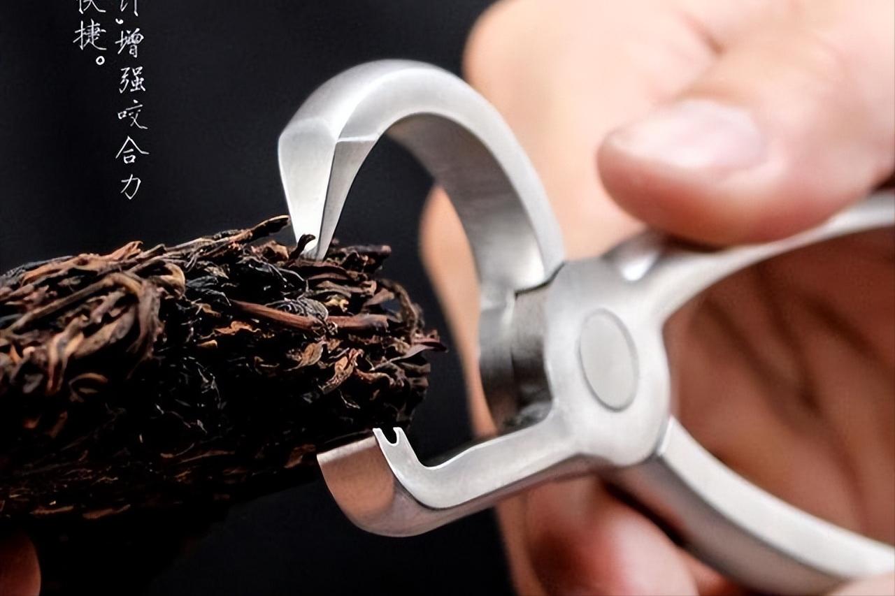 普洱茶碎末别丢,普洱茶千万不要煮着喝