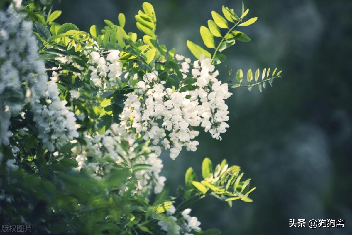 驴事,驴事民间故事