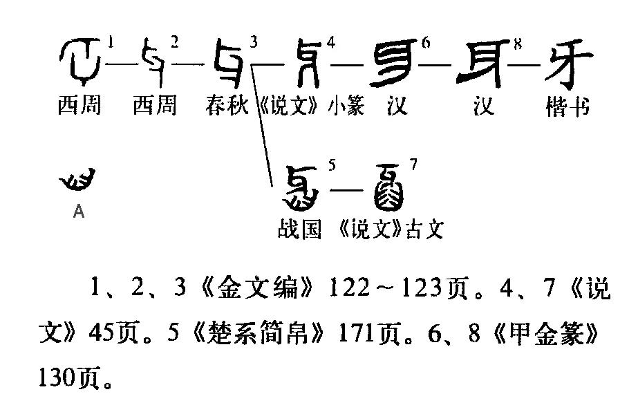 趣味词源,还有哪些有趣的词源旅行