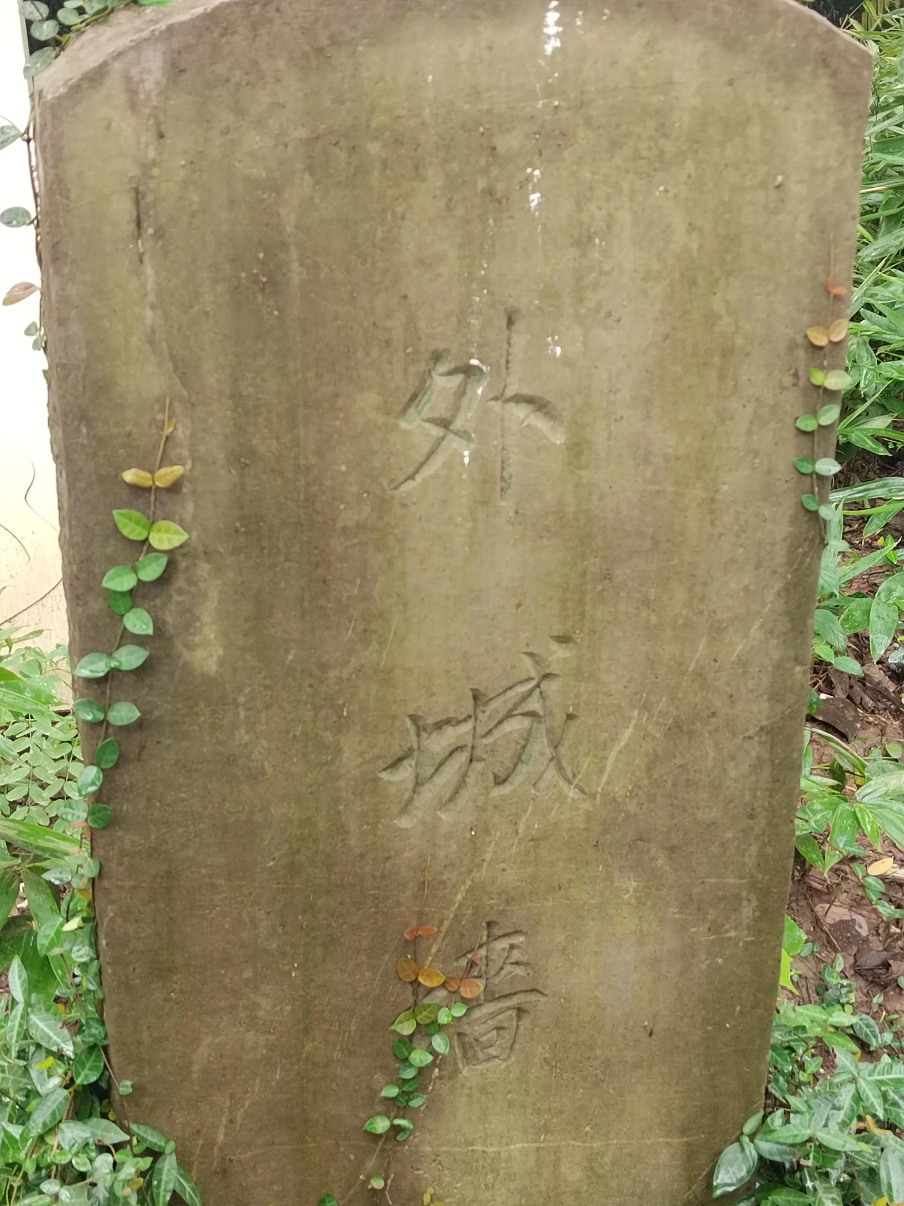 淹城是哪个省市,淹城动物园旅游攻略