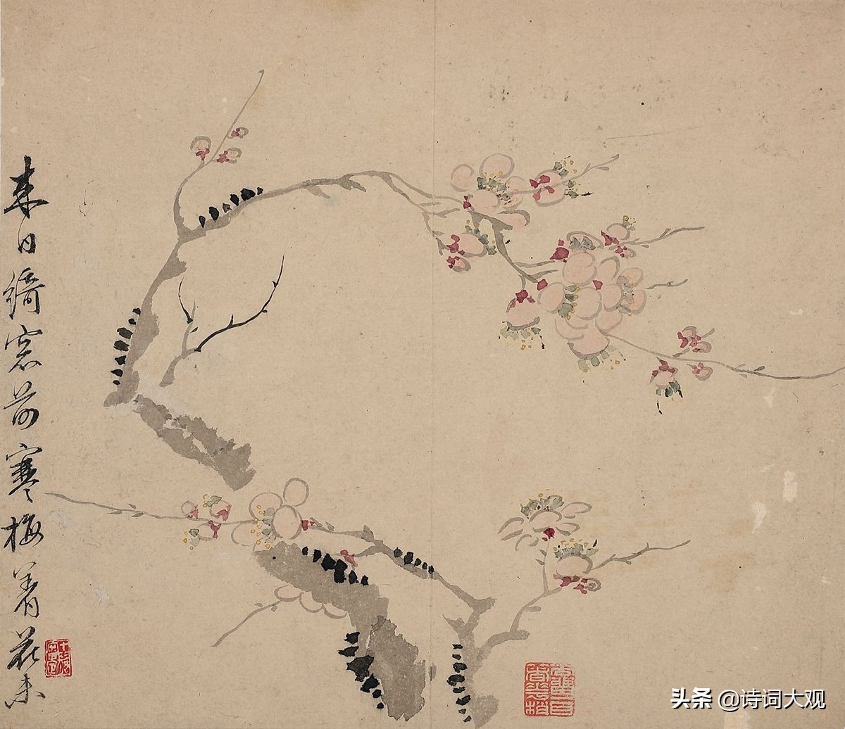 杜甫绝句唐诗及译文,唐诗绝句迟日江山丽译文