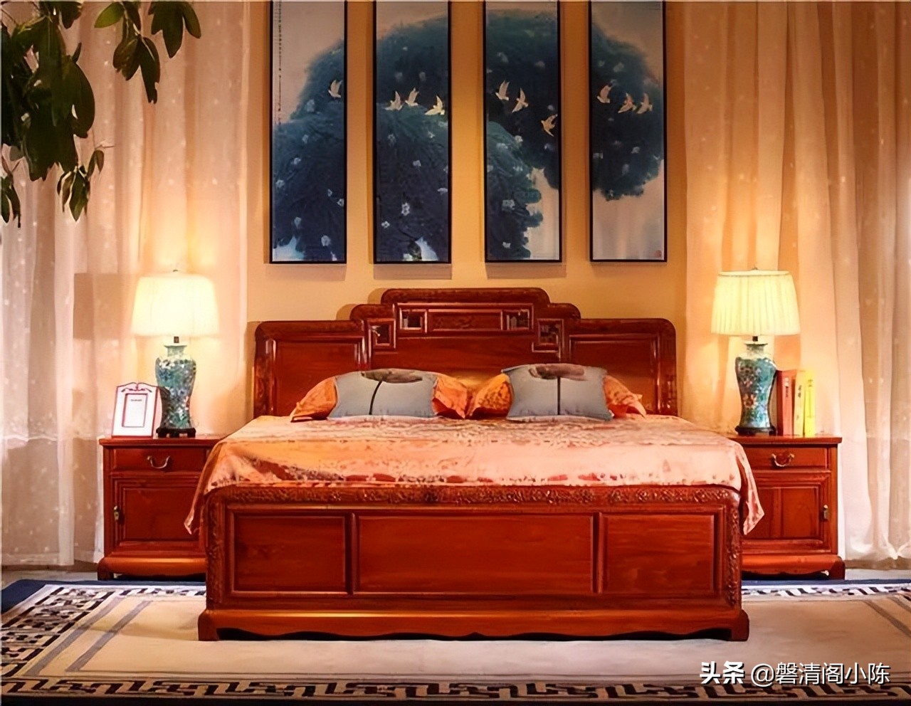 什么是大果紫檀大果紫檀怎么样,什么是大果