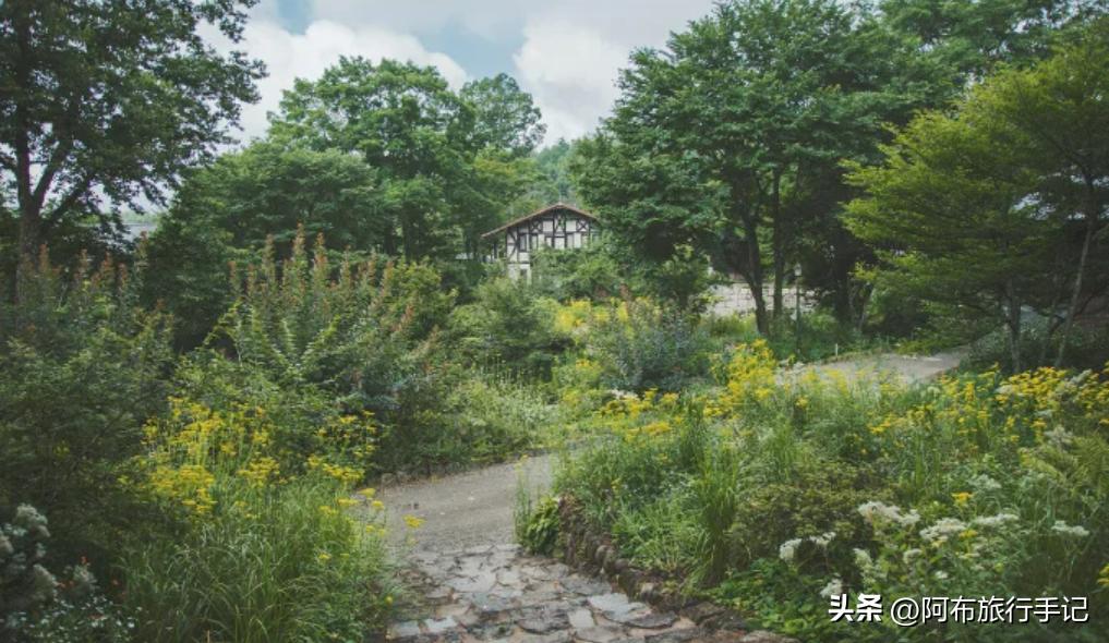 高处好乘凉：说个日本火山连峰，典型又小众，中文攻略很少见