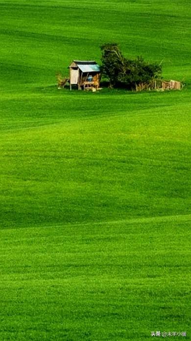 最美的手机壁纸大全,养眼养心的壁纸