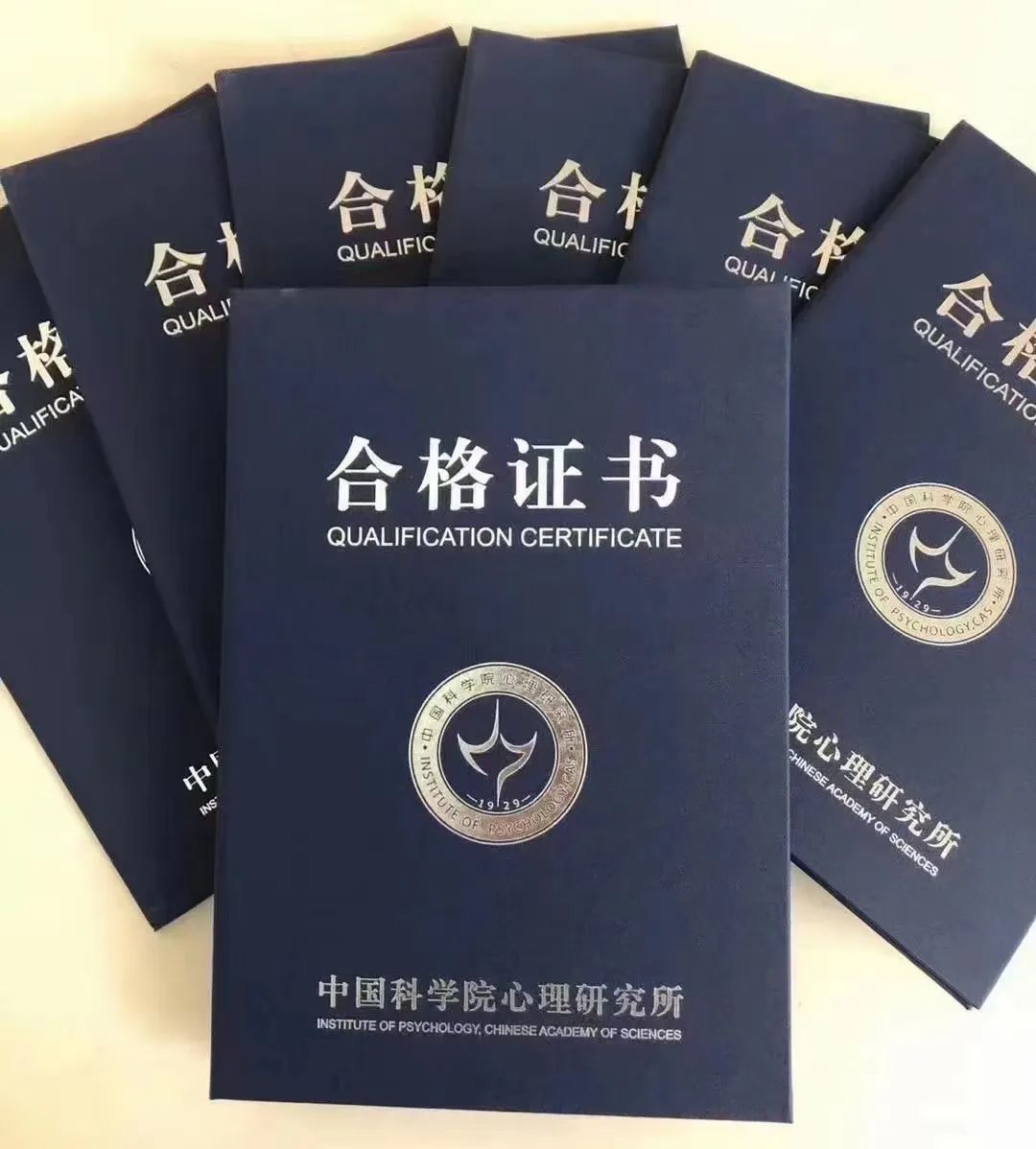 心翔心理咨询师培训,心阳心理咨询师培训计划