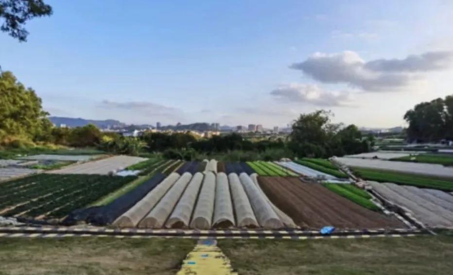 东荣集团,东荣集团新消息