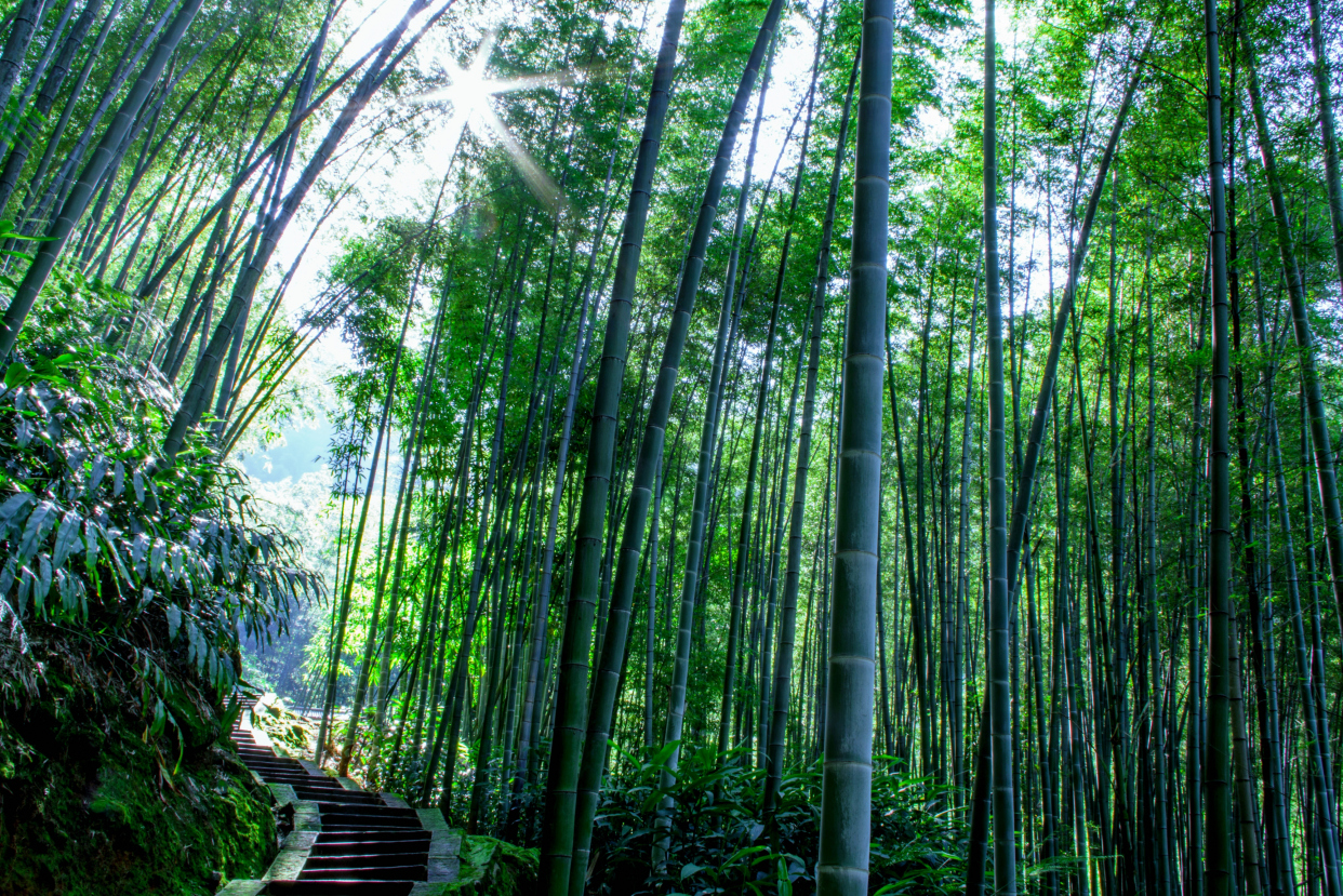 四川好玩景点推荐,四川小众旅游景点哪里好玩