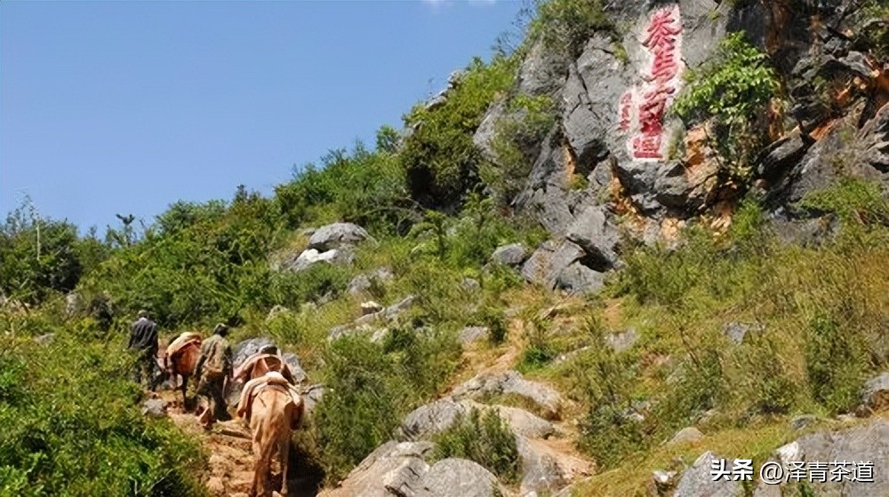 茶马古道茶叶铁盒价格,茶叶溯源之旅